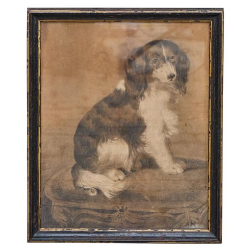English 19th Century Charcoal Dog Portrait of a King Charles Spaniel