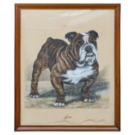 Mid-20th Century English Gouache Portrait of an English Bulldog “Jim”, Signed